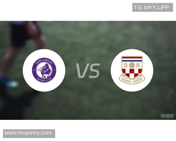 悉尼FC与蔚山现代比赛前瞻分析及胜负预测展望 悉尼FC与蔚山现代比赛前瞻分析及胜负预测展望