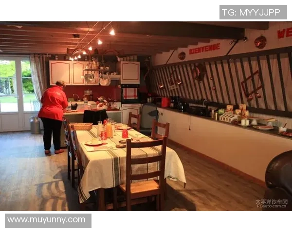 洛克达尔与悉尼足球赛精彩直播全程回顾与分析