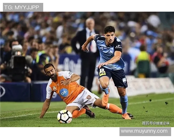 珀斯光辉对决惠林顿凤凰期待精彩赛事与激情碰撞 珀斯光辉对决惠林顿凤凰期待精彩赛事与激情碰撞