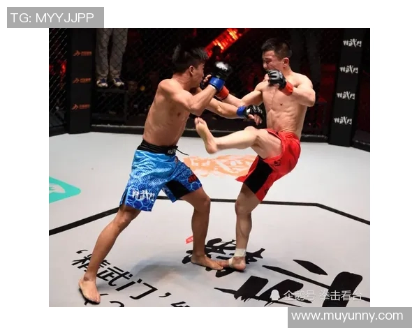 吴泽与武会强的巅峰对决谁将成为拳坛新王者的传奇之路