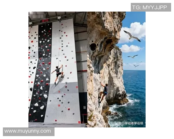 南京攀岩队的个人能力揭秘：挑战极限与团队精神的完美结合