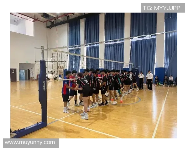 广州排球队与南京排球队对决后的深度分析与战术总结