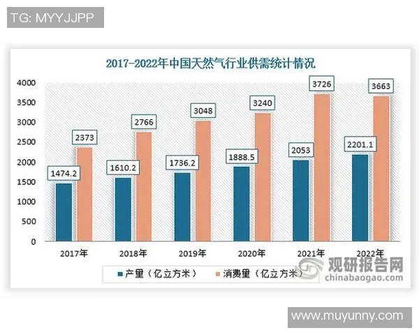 数据分析透视LNG市场的竞争力与未来发展趋势探讨
