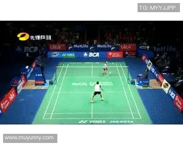 羽毛球战术解析：深入探讨上海羽毛球队的战术控制与执行体系