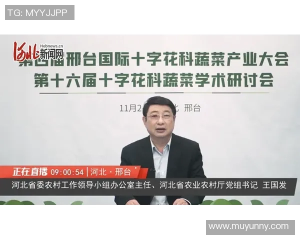 专访吴军:深入探讨乒乓球成功背后的秘密与经验分享